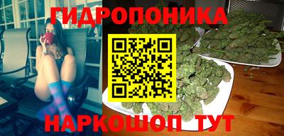 PSILOCYBIN Кимры