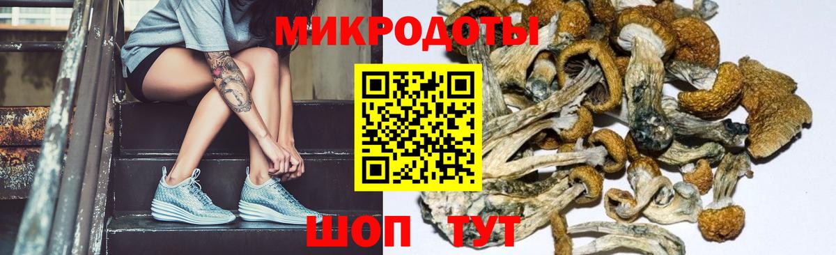 Кимовск  Псилоцибиновые грибы Cubensis  Псилоцибиновые грибы Cubensis  Вход с VPN 
